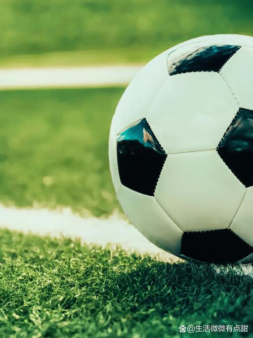 体育即时比分平台二维码